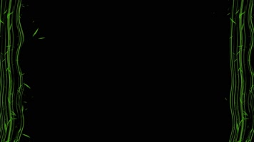 竹叶粒子边框动画带通道