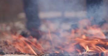 现杀黑山羊农家聚会烧烤火全羊年货4k实拍