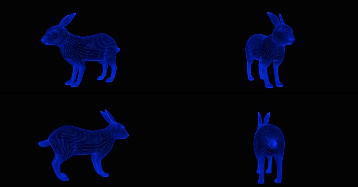 4K全息动物 4K全息动物