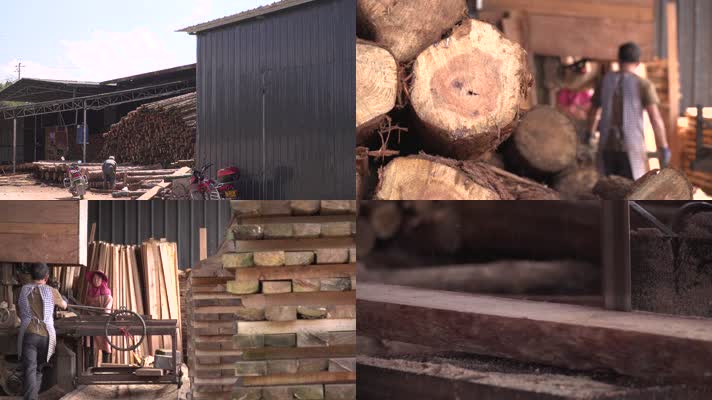 实拍生木材工人切割加工生木