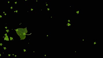 番薯叶粒子飘过屏幕
