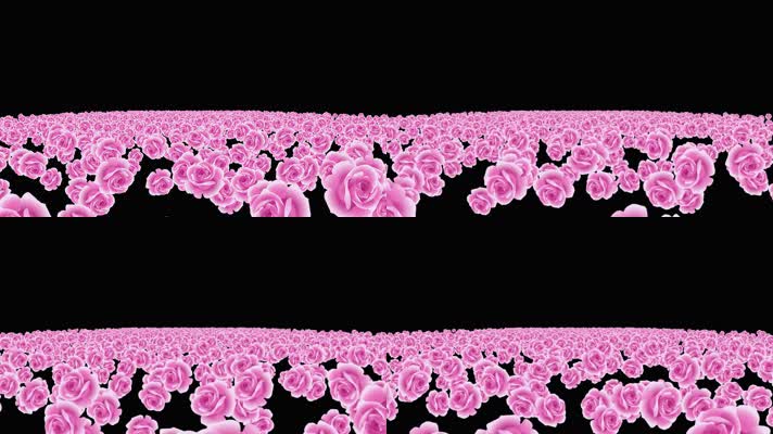 紫色康乃馨粒子海冲屏幕视频