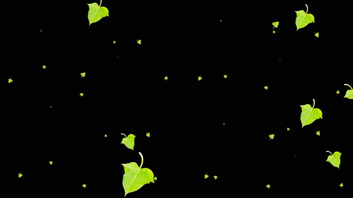 番薯叶舞动装饰素材