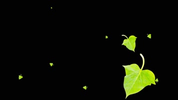 番薯叶舞动装饰素材