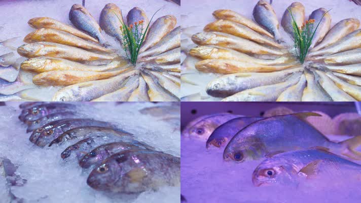 海鲜 超市 鱼 海鱼 水产专卖 水产 