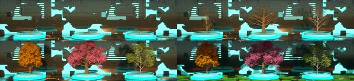 唯美生命大树植物生长