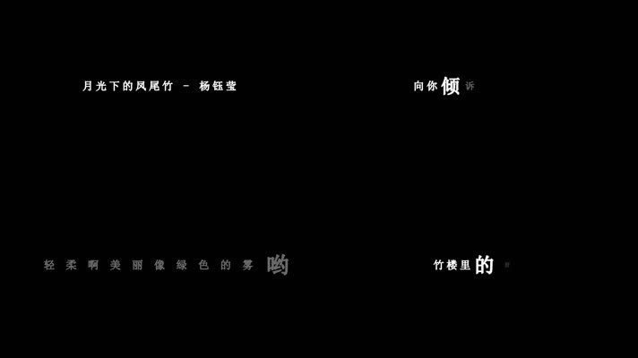 杨钰莹-月光下的凤尾竹歌词