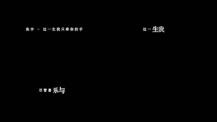 张宇-这一生我只牵你的手歌词