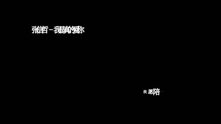 张信哲-我是真的爱你歌词