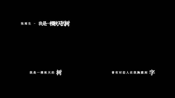 张雨生-我是一棵秋天的树(1080P)