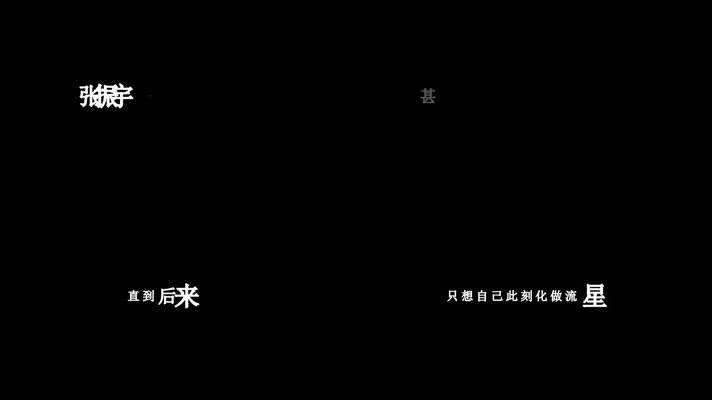 张振宇-爱上你等于爱上了错(1080P)