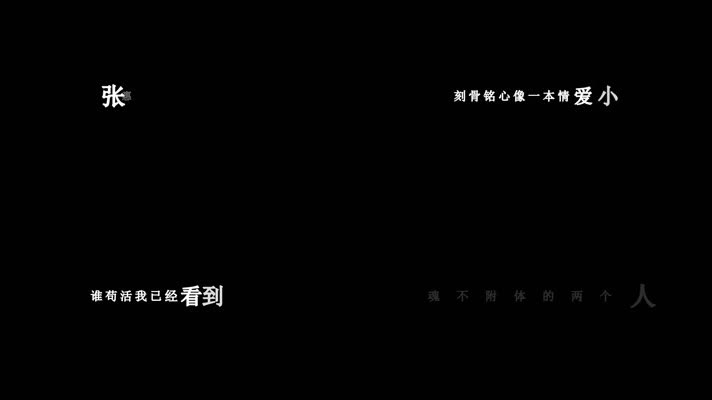 张惠妹-血腥爱情故事(1080P)