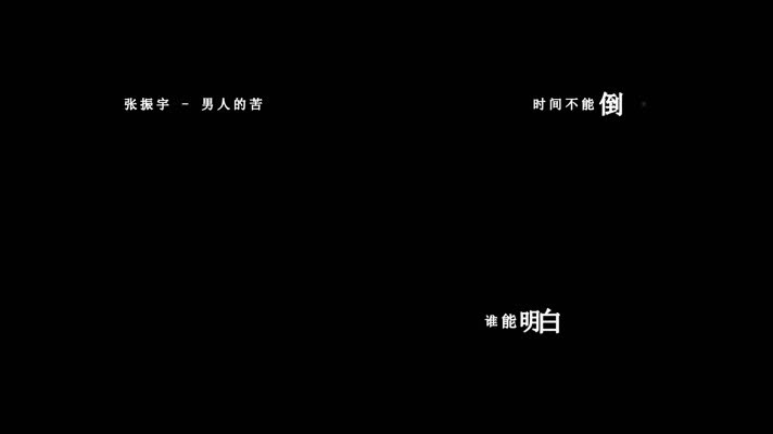 张振宇-男人的苦(1080P)