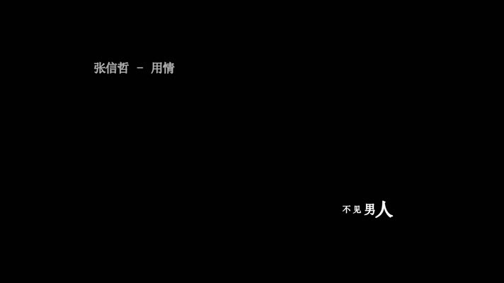 张信哲-用情歌词