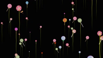 棒棒糖背景视频带通道 棒棒糖背景视频带通道