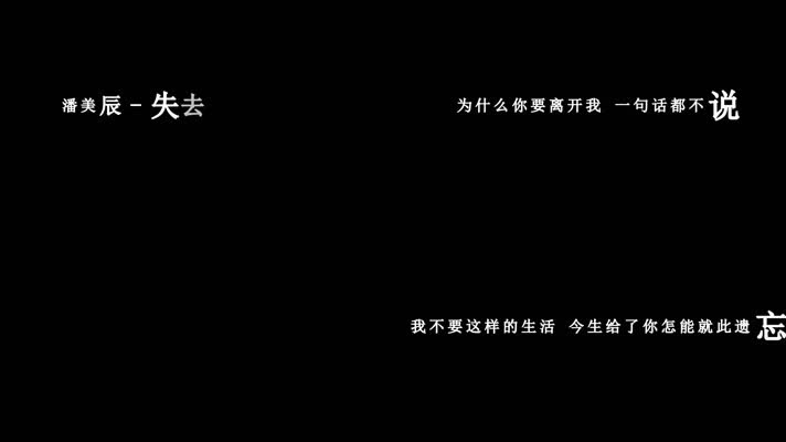 潘美辰-失去了你我什么都没有歌词dxv编码字幕