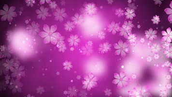 唯美花朵粒子背景视频 唯美花朵粒子背景视频