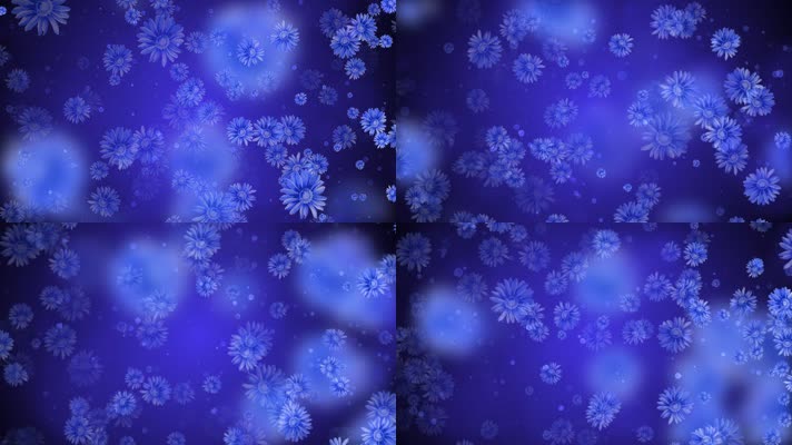 唯美蓝色菊花粒子背景视频