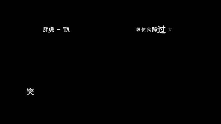 胖虎-TA歌词dxv编码字幕