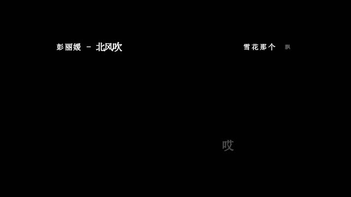 彭丽媛-北风吹歌词dxv编码字幕