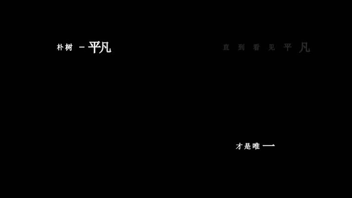 朴树-平凡之路歌词dxv编码字幕