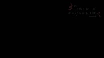 多远都要在一起 dxv编码 字幕 透明通道字幕