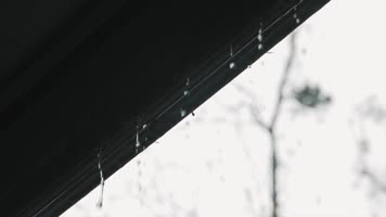 下雨、屋檐、雨滴、水珠、树叶、雨季