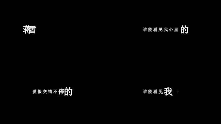 蒋雪儿-谁在意我流下的泪歌词