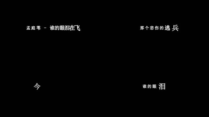 孟庭苇-谁的眼泪在飞歌词