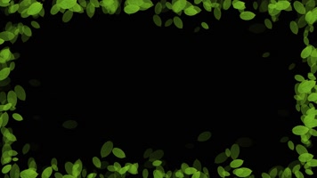 绿叶边框循环带通道