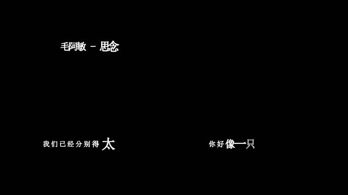 毛阿敏-思念歌词