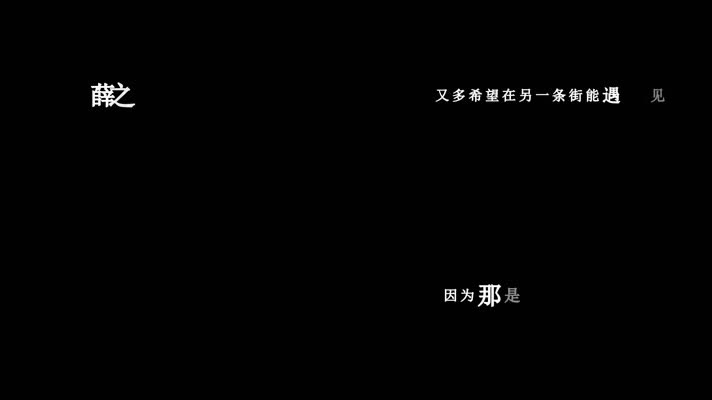薛之谦-你还要我怎样歌词dxv编码字幕