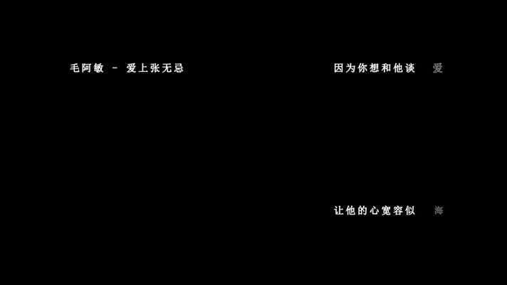 毛阿敏-爱上张无忌歌词