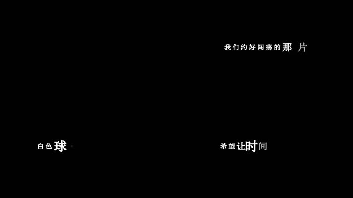 飞轮海-一个人流浪歌词