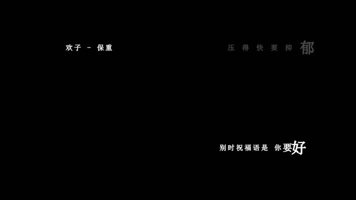 欢子-保重歌词