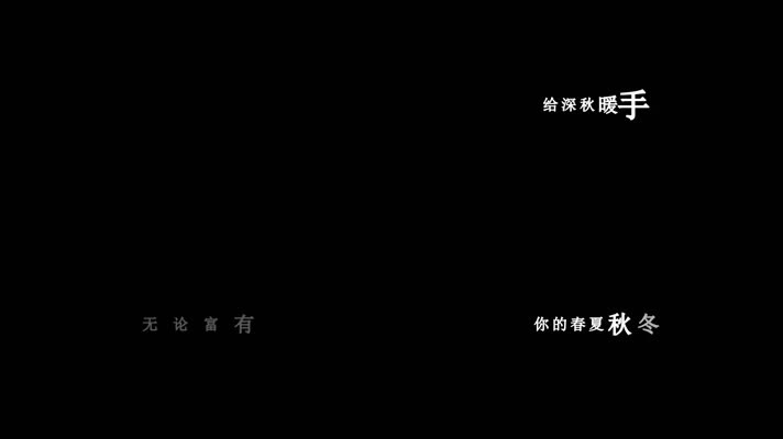 品冠-执子之手歌词dxv编码字幕