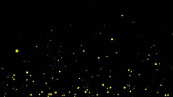 萤火虫闪烁视频带通道