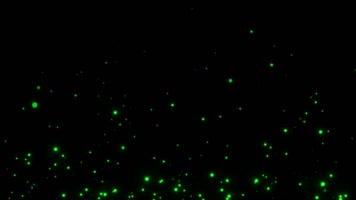 绿光萤火之夏视频素材