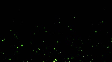 夜晚萤火虫粒子视频带通道