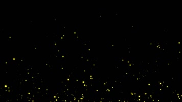 梦幻萤火虫粒子视频带通道