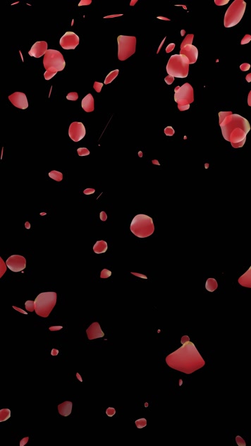 抖音快手小红书玫瑰花瓣飘落小视频