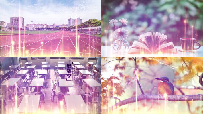 田震-好大一棵树配乐led背景视频 田震-好大一棵树配乐led背景视频