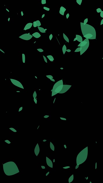 抖音快手小红书树叶飘落小视频