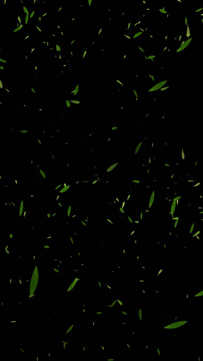 抖音快手竹叶飘落小视频