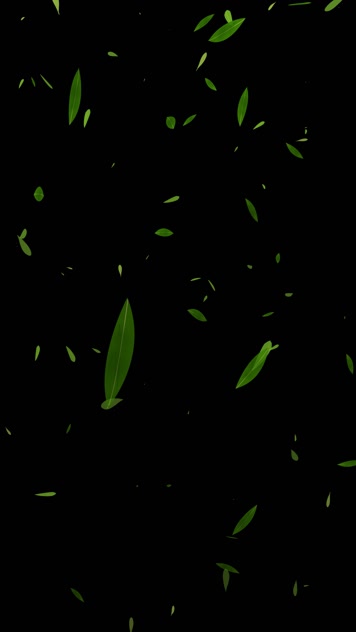 抖音快手竹叶飘落小视频 抖音快手竹叶飘落小视频