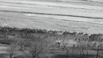   东北野战军 解放战争胜利