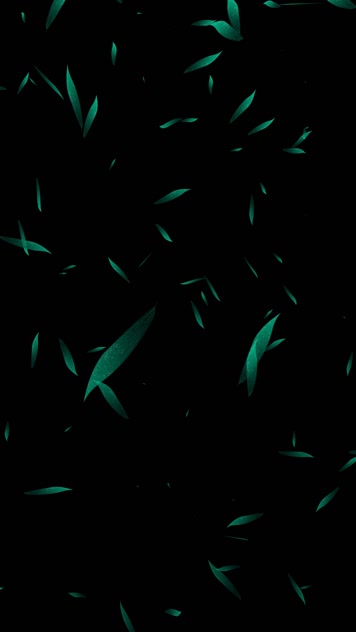 抖音快手小红书端午竹叶飘落小视频