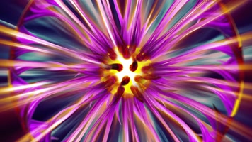 浪漫大气花纹舞台背景