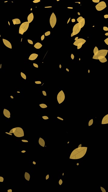 抖音快手小红书黄色绿叶飘落小视频 抖音快手小红书黄色绿叶飘落小视频