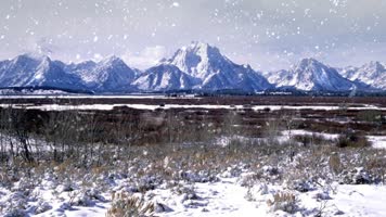 雪山 草地暴风雪背景